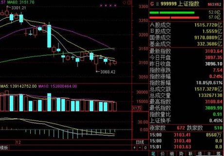 滬指漲0.24%重回3100點 2016全年跌幅達12.31%