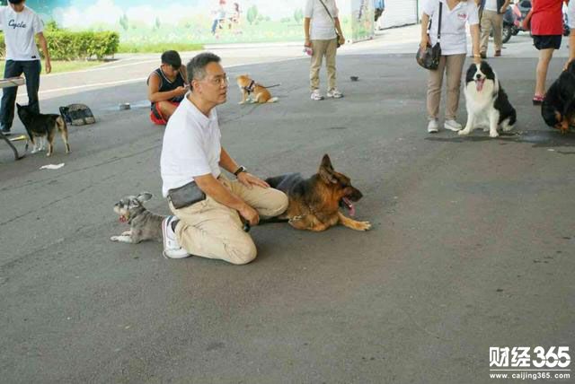 創(chuàng)業(yè)資訊：與寵物犬“打成一片” 訓(xùn)犬師年入可達(dá)40萬！