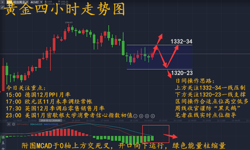 蕭昱晟：1.19午評黃金震蕩上行，后市走勢分析及策略附解套思路