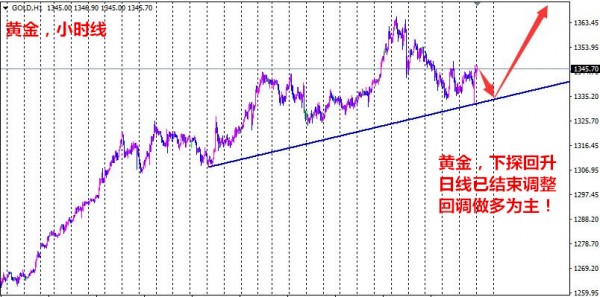 張雅源：2.1詳細(xì)解析黃金目前是繼續(xù)下跌還是筑底？