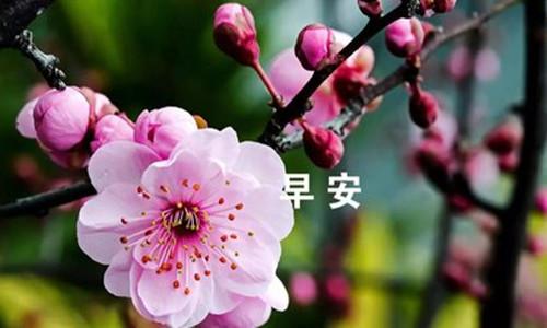 周瑾珂：3.13特朗普貿(mào)易戰(zhàn)持續(xù)發(fā)酵，靜候加息的暴風(fēng)雨來臨