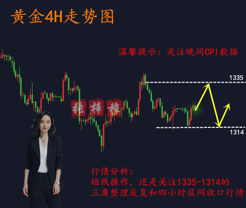 3.13關(guān)注晚間CPI數(shù)據(jù)，日內(nèi)行情分析操作建議