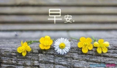 金析妍：4.11黃金攻陷1340大關(guān)！美聯(lián)儲(chǔ)重磅將至！多頭能否乘勝追擊？