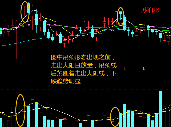 金韻汐:“吊頸線”形態(tài)基本介紹及形成過(guò)程