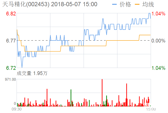 天馬精化股票