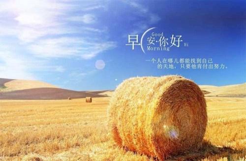 靳宏?yáng)|5.31千折百轉(zhuǎn)將戰(zhàn)收官之日，黃金震蕩局何解?早間操作策略布局