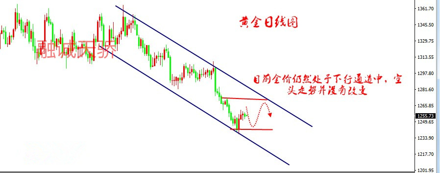 融誠(chéng)天驕：7.9貿(mào)易戰(zhàn)重燃能否撼動(dòng)黃金？今日黃金、原油走勢(shì)分析附策略