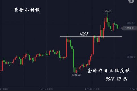 彭吉陽：12.21黃金 原油操作建議